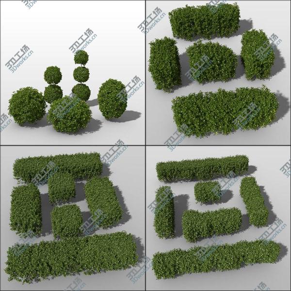 images/goods_img/20210312/Boxwood Bundle vol1/1.jpg